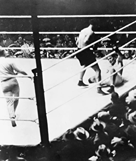 American boxer. Gene Tunney down for the famous long count in the championship bout with Dempsey at Soldier Field, Chicago, Illinois, 22 September 1927 American boxer. Gene Tunney down for the famous long count in the championship bout with Dempsey at Soldier Field, Chicago, Illinois, 22 September 1927