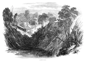 AUSTRALIA: QUEENSLAND, 1863. A Bush Road in Queensland, Australia. Wood engraving AUSTRALIA: QUEENSLAND, 1863. A Bush Road in Queensland, Australia. Wood engraving