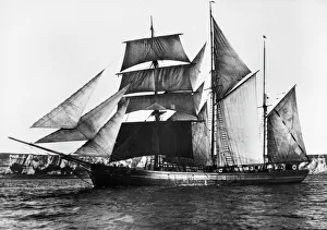 BARQUENTINE, 1871. The English barquentine Waterwitch, built in 1871