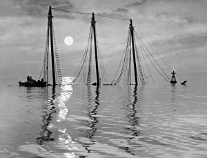 CHESAPEAKE BAY, 1955. The three masts of the sunken ship Edward J CHESAPEAKE BAY, 1955. The three masts of the sunken ship Edward J
