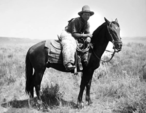 A cowboy, Honeycut, on the horse White Star on the plains of Montana A cowboy, Honeycut, on the horse White Star on the plains of Montana