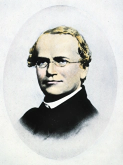 GREGOR JOHANN MENDEL (1822-1884). Austrian Augustinian monk and botanist GREGOR JOHANN MENDEL (1822-1884). Austrian Augustinian monk and botanist