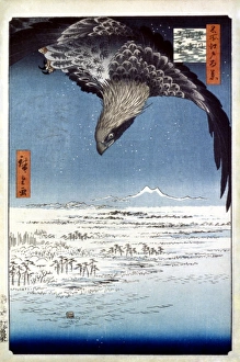 HIROSHIGE: EDO/EAGLE, 1857. Eagle over Edo, Japan. Woodblock print