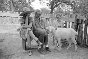 HOMESTEADERS, 1940. A group of women with a goat in Pie Town, New Mexico HOMESTEADERS, 1940. A group of women with a goat in Pie Town, New Mexico