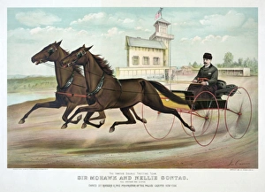 HORSE RACING, c1889. The Famous Double Trotting Team, Sir Mohawk and Nellie Sontag HORSE RACING, c1889. The Famous Double Trotting Team, Sir Mohawk and Nellie Sontag
