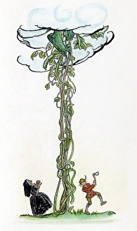 JACK AND THE BEANSTALK. Jack chopping down the magic beanstalk to save himself JACK AND THE BEANSTALK. Jack chopping down the magic beanstalk to save himself
