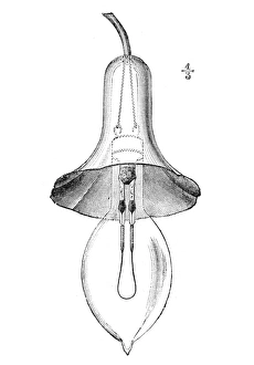 LANE FOX INCANDESCENT LAMP. English inventor St. George Lane Fox (1856-1932) LANE FOX INCANDESCENT LAMP. English inventor St. George Lane Fox (1856-1932)