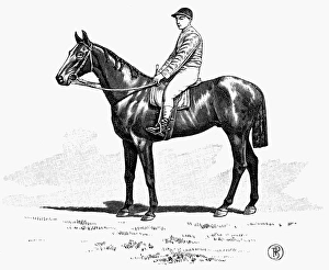 <b class=qtipBold><figcaption>Line engraving, French, c1900</figcaption></b><br>RACE HORSE, 1900. Line engraving, French, c1900.<br><em>© none</em> Line engraving, French, c1900