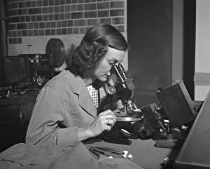 Science Prints: MICROSCOPE, c1943. A woman using a microscope. Photograph, c1943