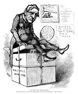 NAST: TILDEN CARTOON, 1876. A Box Stew; or, an Enviable Position. Usufructuary Tilden: William NAST: TILDEN CARTOON, 1876. A Box Stew; or, an Enviable Position. Usufructuary Tilden: William