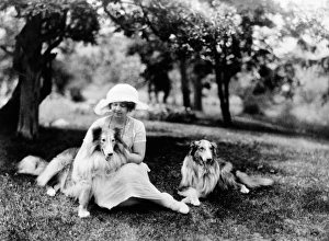 SUNNYBANK COLLIES, c1920. Anice Terhune, wife of dog breeder Albert Payson Terhune SUNNYBANK COLLIES, c1920. Anice Terhune, wife of dog breeder Albert Payson Terhune