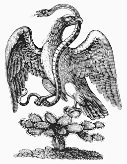 SYMBOL OF MEXICO. Symbol on the Coat of Arms of Mexico. Late 19th century line engraving SYMBOL OF MEXICO. Symbol on the Coat of Arms of Mexico. Late 19th century line engraving